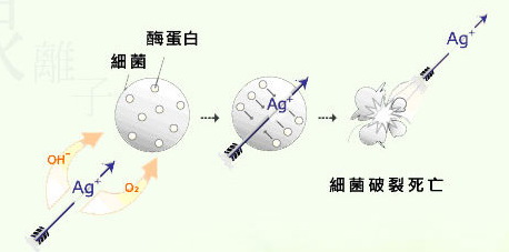 通用食品级塑料抗菌剂